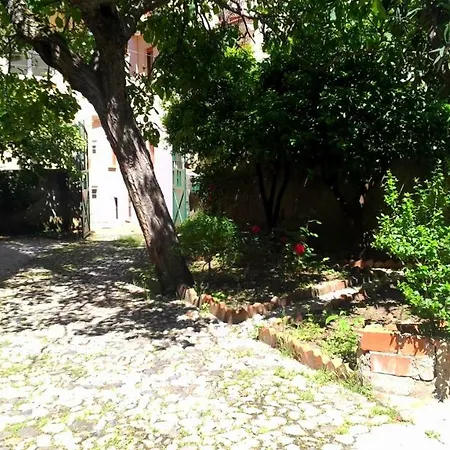Il Noce *