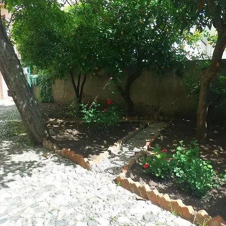 Il Noce